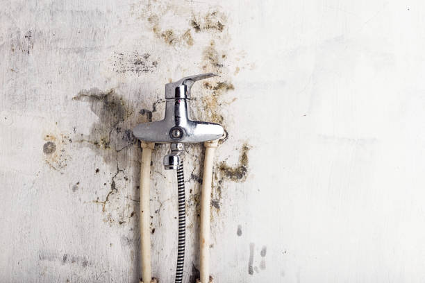Westlake Corner, VA Mold Remediation Company